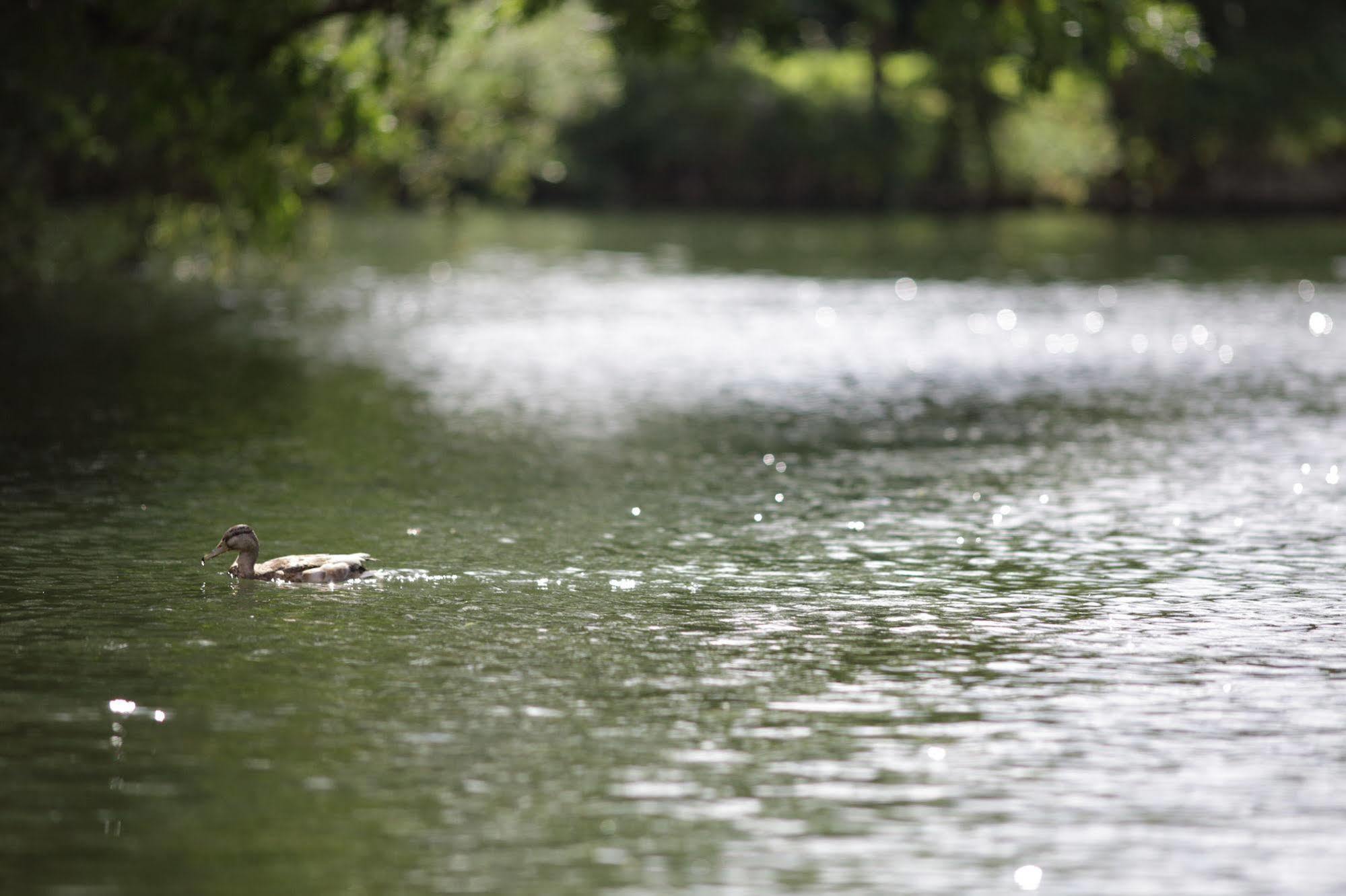 The Runnymede On Thames (Adults Only) Hotell Egham Eksteriør bilde